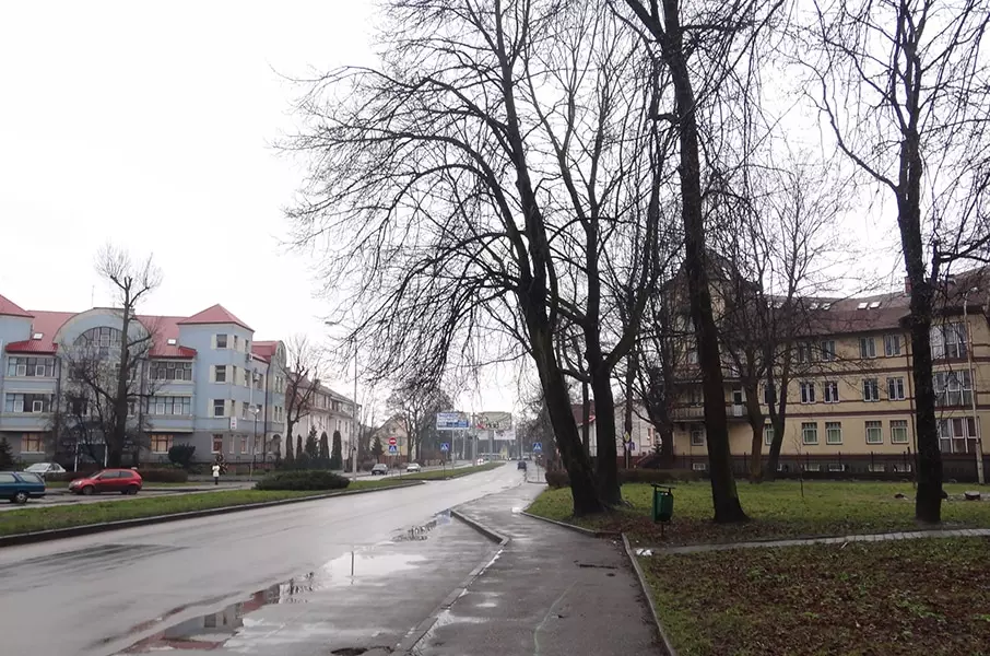 Погода В Калининграде На Новый Год