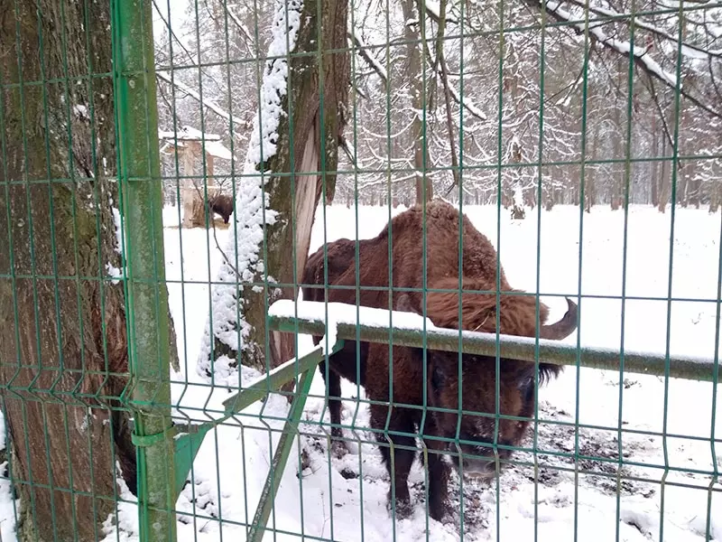 Новогодние Каникулы Из Москвы На Машине Новогодние Каникулы Из Москвы На Машине